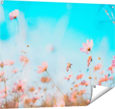 Gards Tuinposter Paarse Kosmos Bloemen - 100x80 cm - Tuindoek - Tuindecoratie - Wanddecoratie buiten - Tuinschilderij