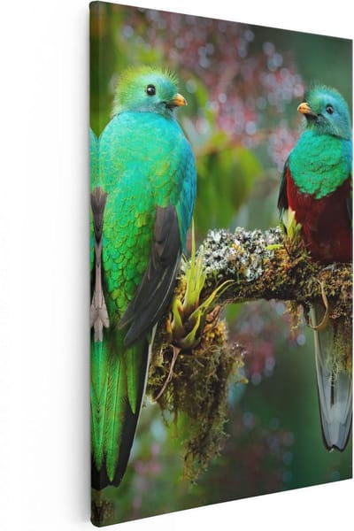Artaza Canvas Schilderij Quetzal - 20x30 cm - Klein - Wanddecoratie Vogels - Muurdecoratie Tropisch - Kamer Accessoires Woonkamer