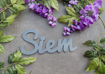 In hout uitgesneden naambord - Gepersonaliseerd - Babyshower kinderkamer - Baby - Decoratie - Kraamcadeau - Grijs