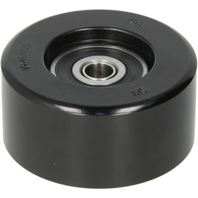 Tandriempoelie SKF VKM 62022