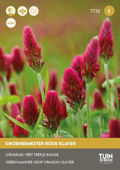 Groenbemester Rode Klaver Zaden – Bodemverbeteraar & Stikstofbinder – Bijen & Vlinders – Voor Moestuin & Tuin – Tuin de Bruijn