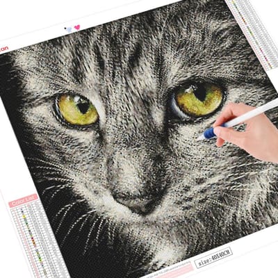 Diamant broderie 5D chat bricolage diamant Art peinture Animal mosaïque décoration de la maison 30x30CM gray