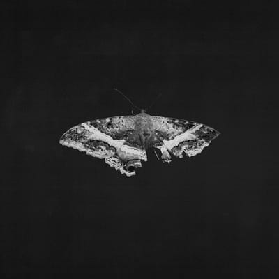 Kendrick Lamar - To Pimp A Butterfly (2 LP) (10th Anniversary Edition)