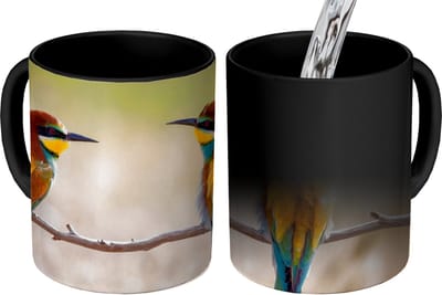 Magische Mok - Foto op Warmte Mokken - Koffiemok - Vogels - Bijeneter - Dieren - Magic Mok - Beker - 350 ML - Theemok