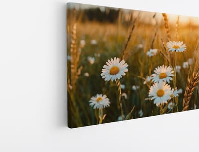 Saammp Canvas Schilderij - Natuur - Madelief - landschap - 45x30 - Foto op canvas - Wanddecoratie - Muurdecoratie Woonkamer - Slaapkamer decoratie - Canvas Print