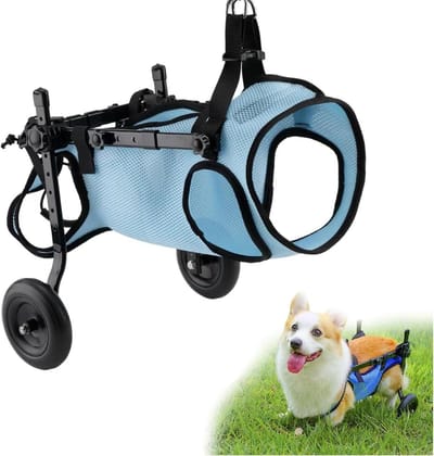 Hondenrolstoel - Hulpmiddel Mobiliteit - Huisdier Hulp - Verstelbaar Ontwerp - Maat XS - Blauw