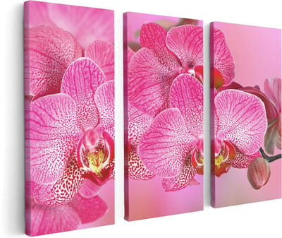 Artaza Canvas Schilderij Drieluik Roze Orchidee Bloemen - 120x80 - Foto Op Canvas - Canvas Print