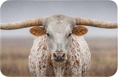 Badmat 60x40 cm - Antislip - Longhorn - Grasveld - Dier - Badmatten voor badkamer - Badkamermat - Douchemat - Badkamer mat
