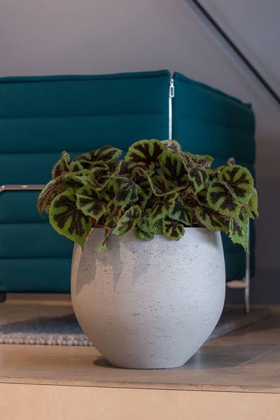 Pottery Pots - Plantenbak Orb M - Ø48cm x H43cm - Indoor en Outdoor - Grey Washed