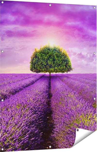 Gards Tuinposter Groene Boom in de Lavendel Bloemen - 90x120 cm - Tuindoek - Tuindecoratie - Wanddecoratie buiten - Tuinschilderij