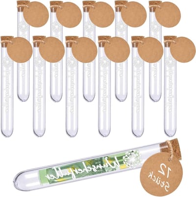 12 stuks wensvullers voor geldcadeaus, transparante reageerbuisjes met paardenbloemstickers, kraftpapieren hangers voor verjaardagen, bruiloften en Kerstmis