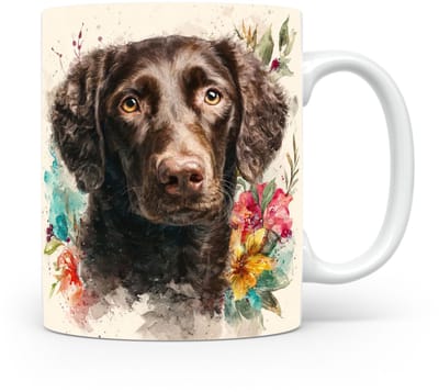 Beker Krulvacht Retriever