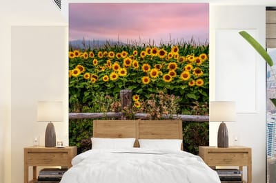 Behang - Fotobehang Zonnebloem - Bloemen - Planten - Breedte 160 cm x hoogte 220 cm