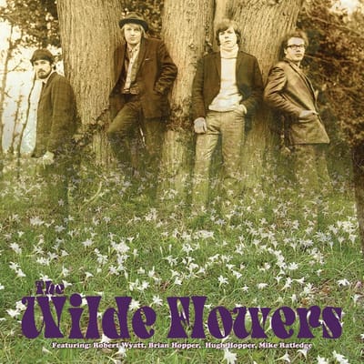 The Wild Flowers