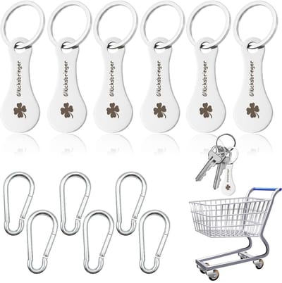 Dailygoods- Winkelwagenopener Set van 6 - Roestvrij Stalen Munt - Sleutelhanger - Klaverblad Design - Karabijnhaak - Duurzaam en Praktisch - Boodschappenschip