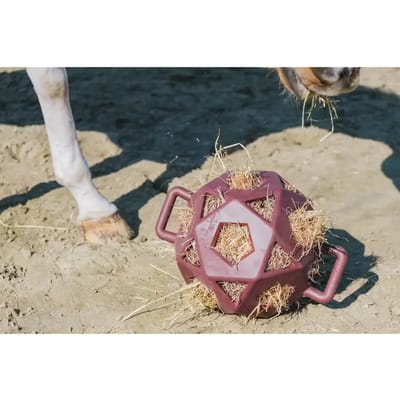 Kentucky Horsewear - Relax Paardenspeeltje speel- en hooibal bordeaux size L 40cm