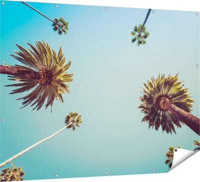 Gards Tuinposter Palmbomen met Bladeren in de Lucht - 160x120 cm - Tuindoek - Tuindecoratie - Wanddecoratie buiten - Tuinschilderij
