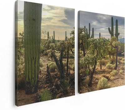 Artaza Canvas Schilderij Tweeluik Cactus Planten in het Wild - 120x80 cm - Wanddecoratie Woonkamer - Schilderijen - Muurdecoratie