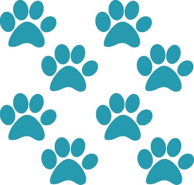 Hondenpootje / hondenpootjes - aqua groen - autostickers - 8 stuks - 4 cm x 5 cm - pootafdruk - hondensticker