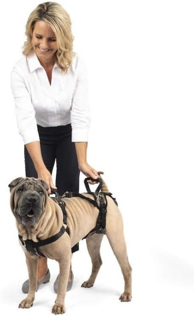 Hefharnas Met Handvat En Schouderriem - Ideaal Voor Mobiliteit Van Huisdieren En Oudere Honden - Comfortabel En Ademend Materiaal - Maat M - Zwart