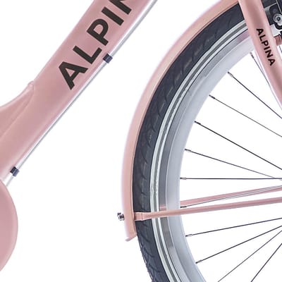Alpina Spatbord set 26 Clubb gold met matt