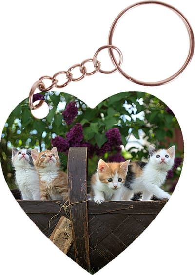 Sleutelhanger hartje 5x5cm - Mand met Kittens
