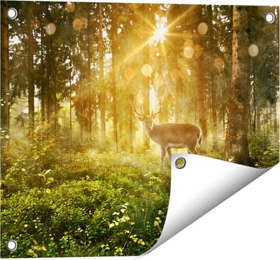 Gards Tuinposter Hert in Bos met Zon - 50x40 cm - Tuindoek - Tuindecoratie - Wanddecoratie buiten - Tuinschilderij