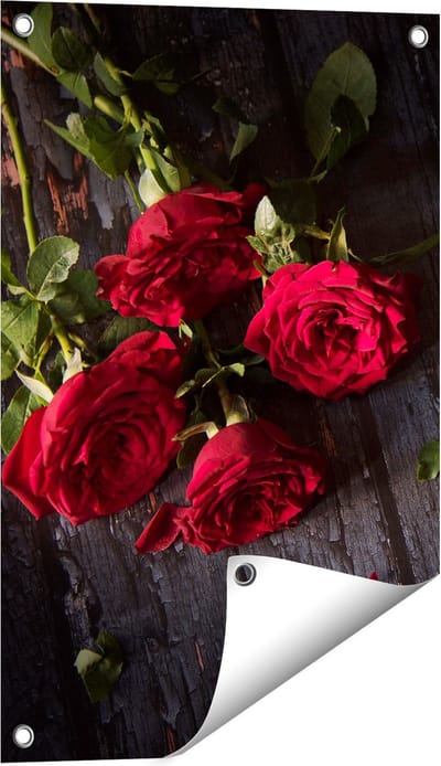 Gards Tuinposter Rode Rozen op de Grond - 40x60 cm - Tuindoek - Tuindecoratie - Wanddecoratie buiten - Tuinschilderij