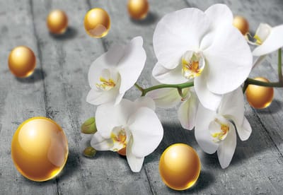 Fotobehang Modern Flowers Orchids Spheres | XL - 208cm x 146cm | 130g/m2 Vlies