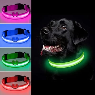 Honden halsband LED - Maat S - USB-oplaadbaar - 100% waterdicht - Groen - Halsband met verlichting - 3 verschillende standen - Lichtgevende hondenhalsband - Super helder licht - Voor huisdieren