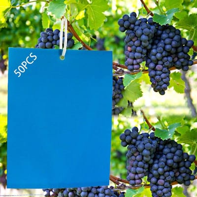 Set van 50 Blauwe Lijmplaten (25x15cm) – Inclusief Binddraad, voor Effectieve Bestrijding van Mineervliegen en Witte Vliegen