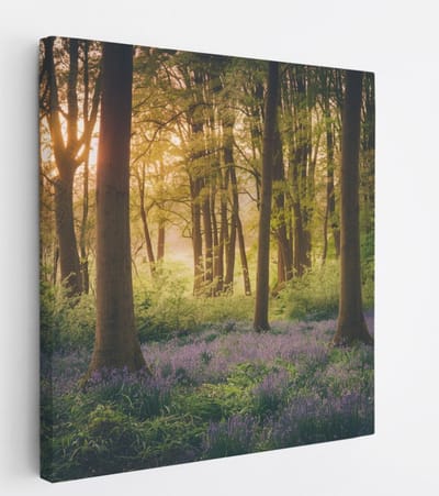 Saammp Canvas Schilderij - Bos met lavendel - Landschap - Natuur - 20x20 - Foto op canvas - Wanddecoratie - Muurdecoratie Woonkamer - Slaapkamer decoratie - Canvas Print
