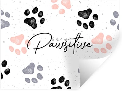 Muurstickers - Sticker Folie - Honden - Spreuken - Stay pawstitive - Quotes - 40x30 cm - Plakfolie - Muurstickers Kinderkamer - Zelfklevend Behang - Zelfklevend behangpapier - Stickerfolie
