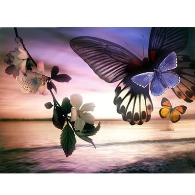 Diamantschilderij  Zonsondergang en vlinders  Borduurdiamant Kruissteek Strass Mozaïek Decor 20X30CM black