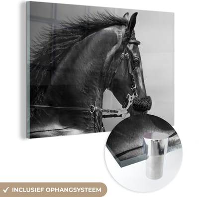 MuchoWow® Glasschilderij 120x80 cm - Schilderij acrylglas - Paarden - Zwart - Portret - Dieren - Foto op glas - Schilderijen