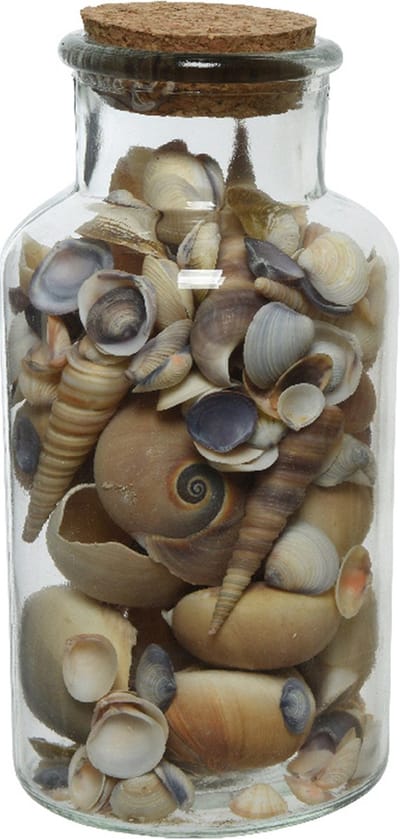 Decoris deco schelpen in glazen pot - D8 x H16 cm - bruin tinten