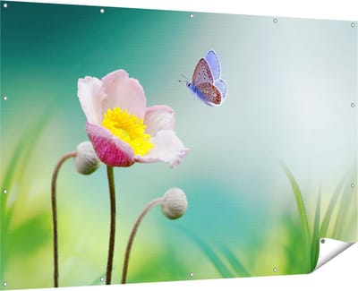 Gards Tuinposter Roze Anemoon Bloem met een Blauwe Vlinder - 180x120 cm - Tuindoek - Tuindecoratie - Wanddecoratie buiten - Tuinschilderij