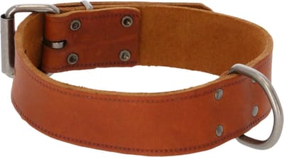 Adori Halsband Vetleder Met Print Cognac - Hondenhalsband - 60x4 cm