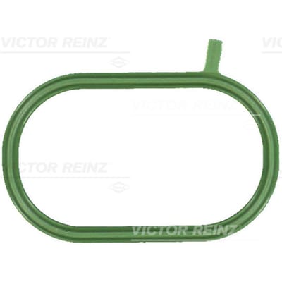 Pakking, Inlaatspruitstuk REINZ 71-17696-00