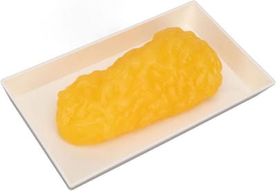 Realistisch Vetreplica Model 0.5 KG voor Gewicht en Gezondheidseducatie