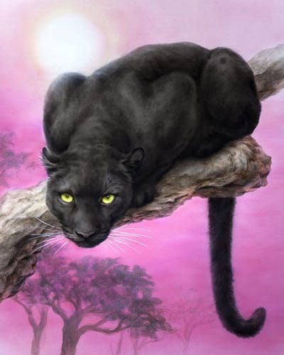 Diamond painting 40x50cm - zwarte panter - ronde steentjes