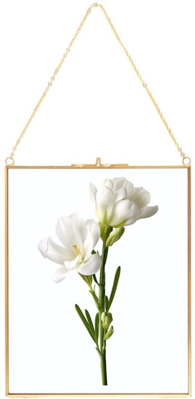 Dailygoods- Fotolijst 25x20 cm - Glazen Fotolijst - Koper/Metalen