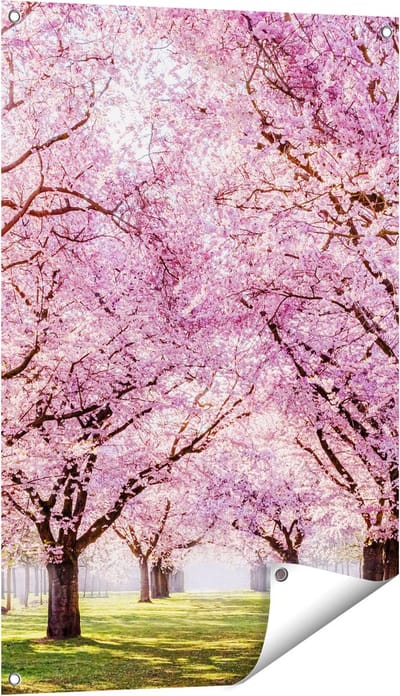 Gards Tuinposter Roze Bloesembomen Park - Bloemen - 60x90 cm - Tuindoek - Tuindecoratie - Wanddecoratie buiten - Tuinschilderij