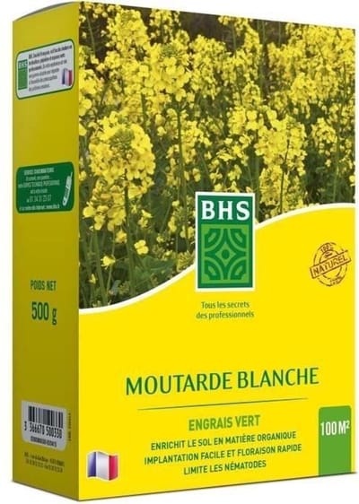 Groenbemester - BHS - Witte Mosterd 500g | 100 m² | Verbetert en desinfecteert bodems voor een betere vruchtbaarheid