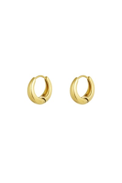 Bijoutheek Oorringen Kleine Basis Hoop Goud