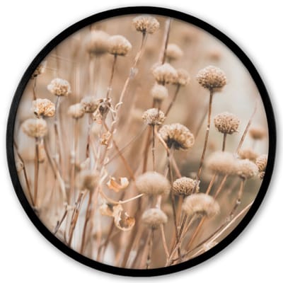 Poster in lijst Rond - Fotolijst 40x40 cm - Posters - Droogbloemen - Beige - Bloemen - Natuur - Ronde posterlijst zwart - Decoratie - Wanddecoratie woonkamer - Muurdecoratie slaapkamer