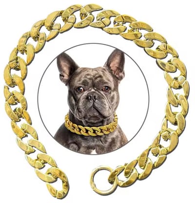 Gouden hondenketting - Halsband - Grappig - Cadeau - 25 CM - Huisdier