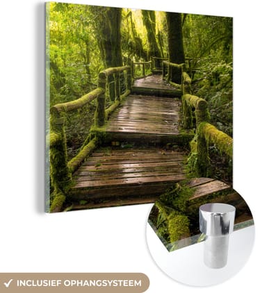MuchoWow® Glasschilderij 50x50 cm - Schilderij acrylglas - Mooi regenwoud en jungle - Foto op glas - Schilderijen