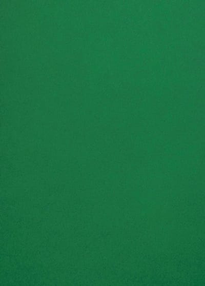 Netuno - groen glad gekleurd papier - A4 - 21 x 29,7 cm - 10 vellen - 120 gram - Malmero Amazone