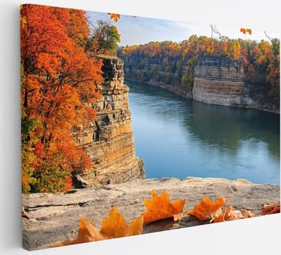 Saammp Canvas Schilderij - Rode Bladeren op Rots - Natuur - Landschap - 30x20 - Foto op canvas - Wanddecoratie - Muurdecoratie Woonkamer - Slaapkamer decoratie - Canvas Print